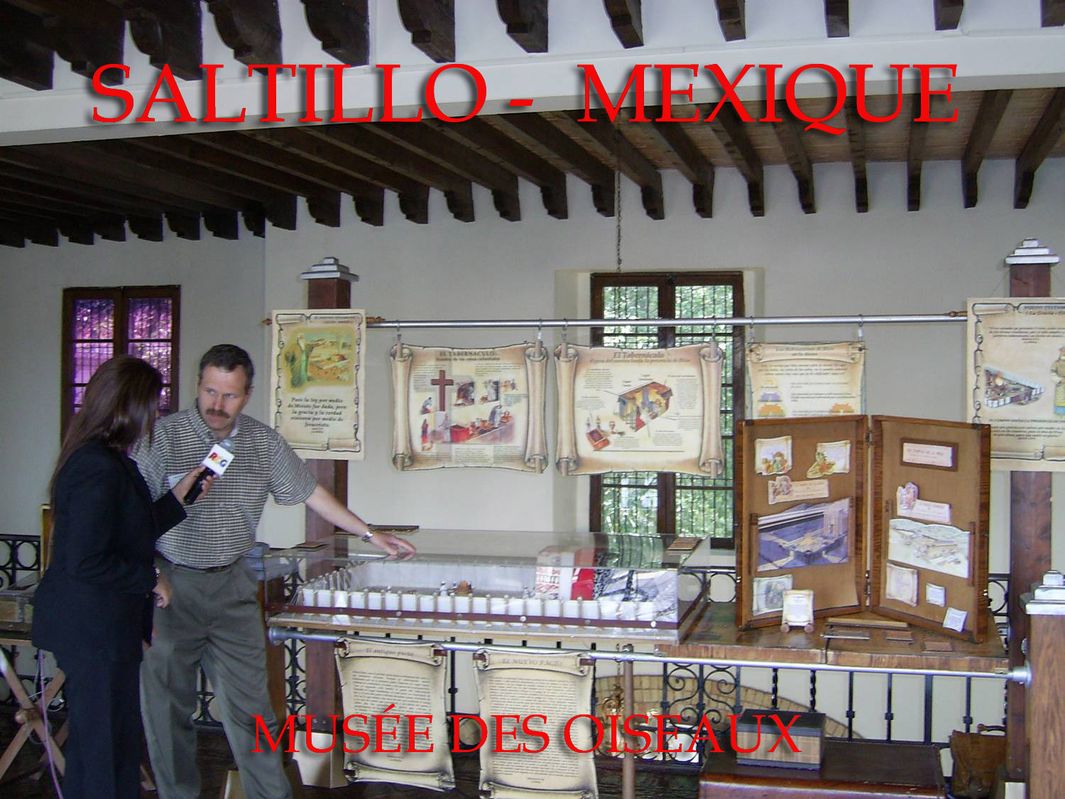 MUSÉE OISEAU SALTILLO 2006